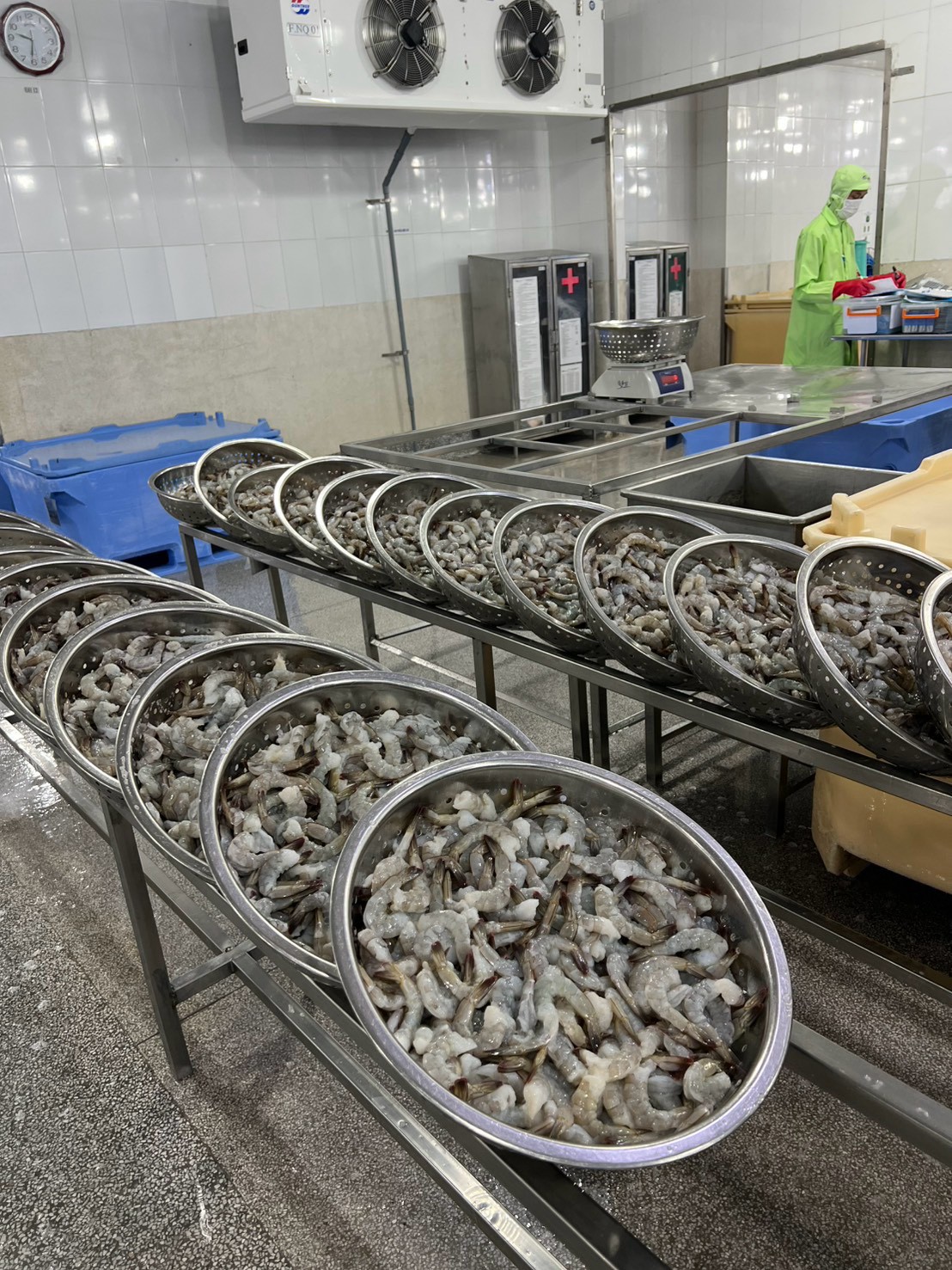 Jirakorn seafood processing facility with staff sorting product on stainless steel lines