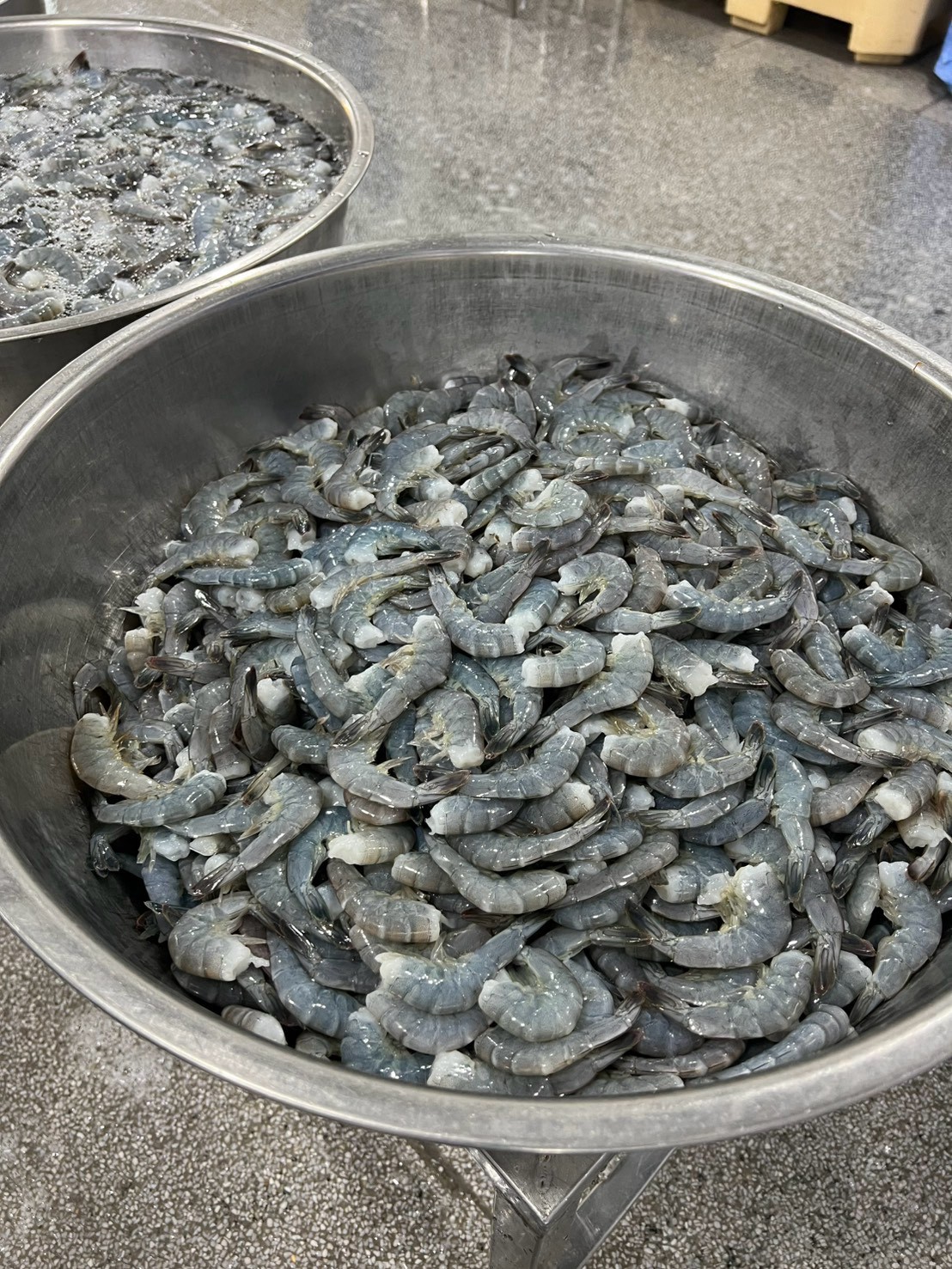 Raw shrimp ready for processing with Jirakorn moisture-retention additives